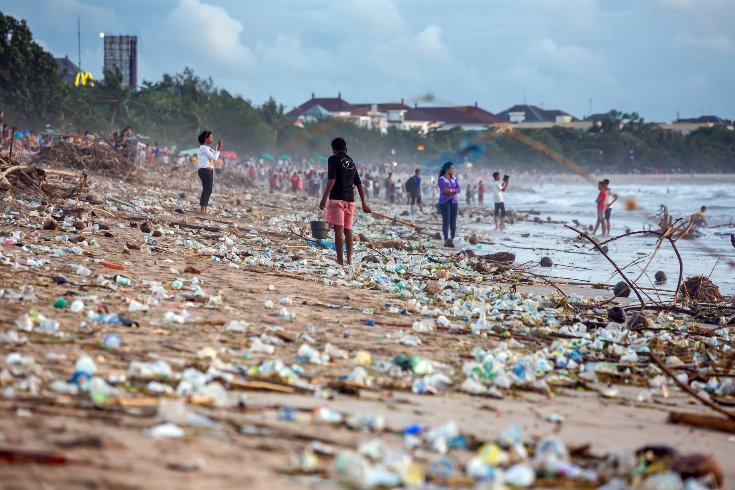 Os plásticos poluem os mares e os seres aquáticos.